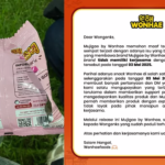Resep Tumis Brokoli Pedas, Lezat dan Praktis Kepada Sehari-hari
