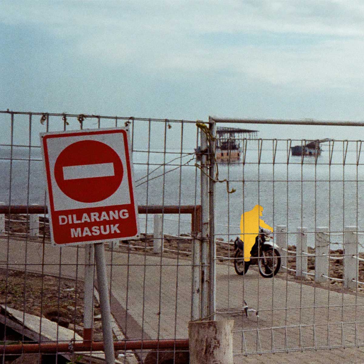 spot_img