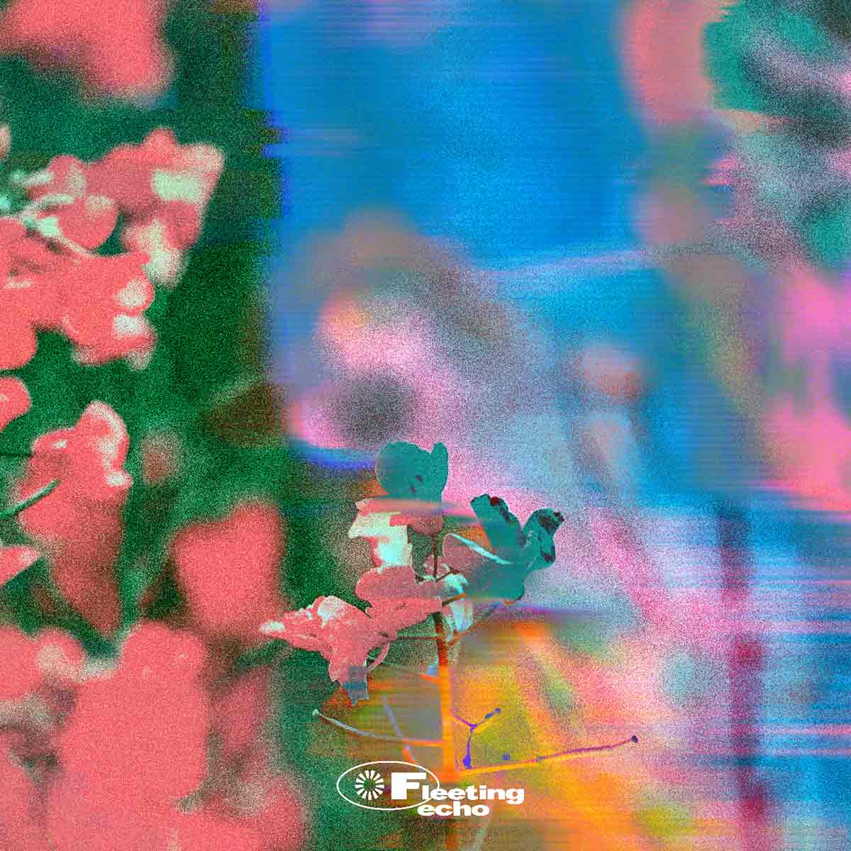 spot_img