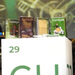 iQOO 13 Meluncur, Hape dengan Snapdragon 8 Elite Pertama di Indonesia
