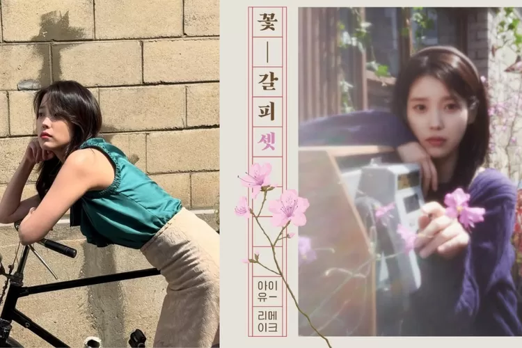 Berhasil Puncaki Tangga Lagu Domestik, Kritikus Musik sebut Kekurangan Album Remake IU A Flower Bookmark 3  (Instagram@dlwlrma)