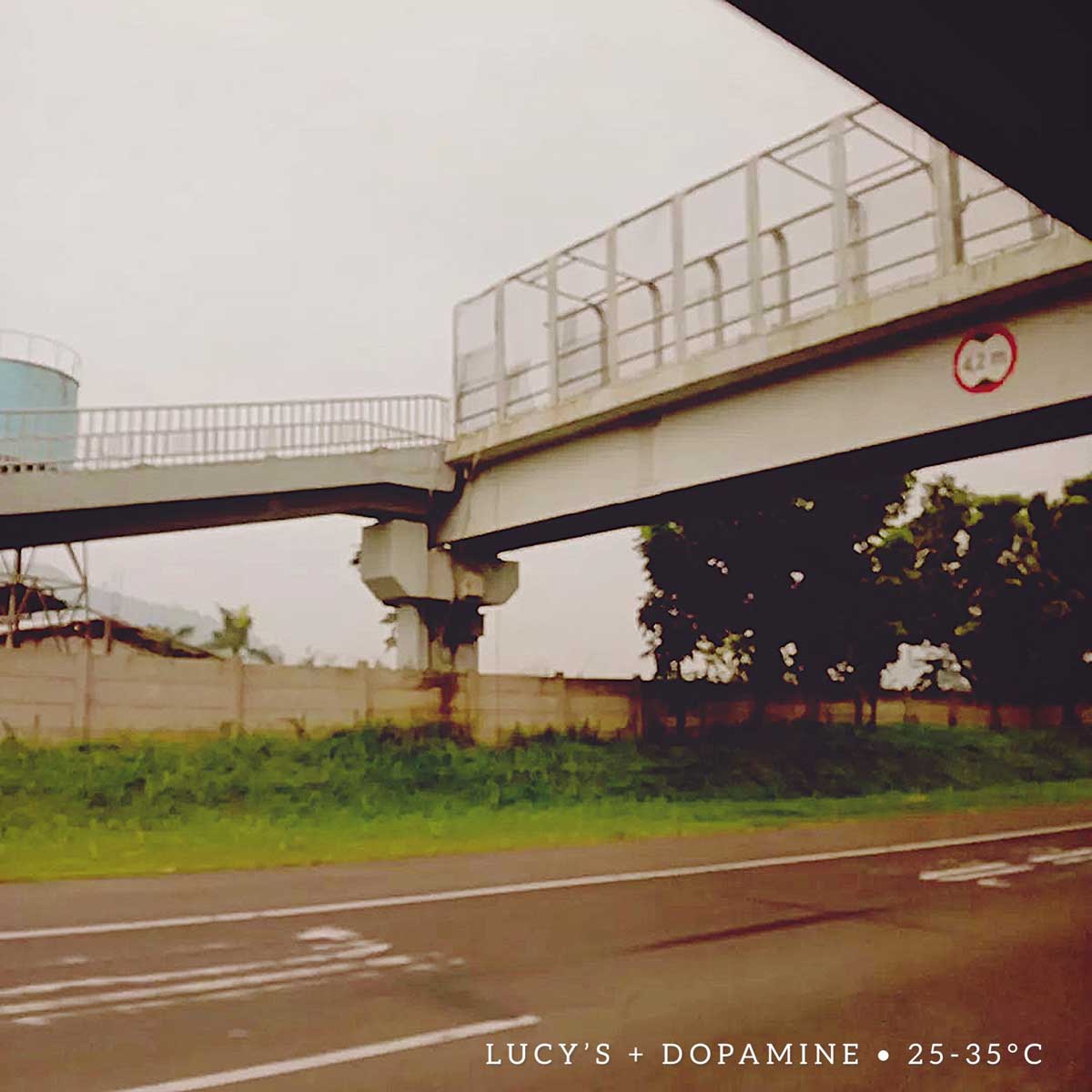 spot_img