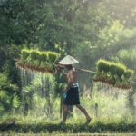 Mau Liburan ke Bali? Ini 10 Destinasi Wisata Paling Menakjubkan yang Wajib Anda Kunjungi!