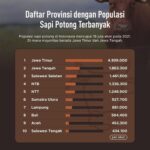 Tax Amnesty Jilid II, Setoran Pajak Pendapatan Tembus 54 Triliun