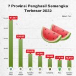 Mengenal Bacuya, Maskot Piala Dunia U-20 2023
