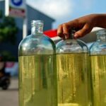 10 Negara Penghasil Kurma Terbanyak di Dunia, Siapa Juaranya?