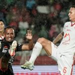 10 Komoditi Andalan yang Paling Banyak Dihasilkan di Indonesia