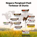 Eksis Lonjakan Sayur Impor di RI, Ini Daftar Negara Pemasok Utamanya