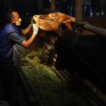 Benarkah UMK Tinggi Bikin Perusahaan Cabut dari Karawang?