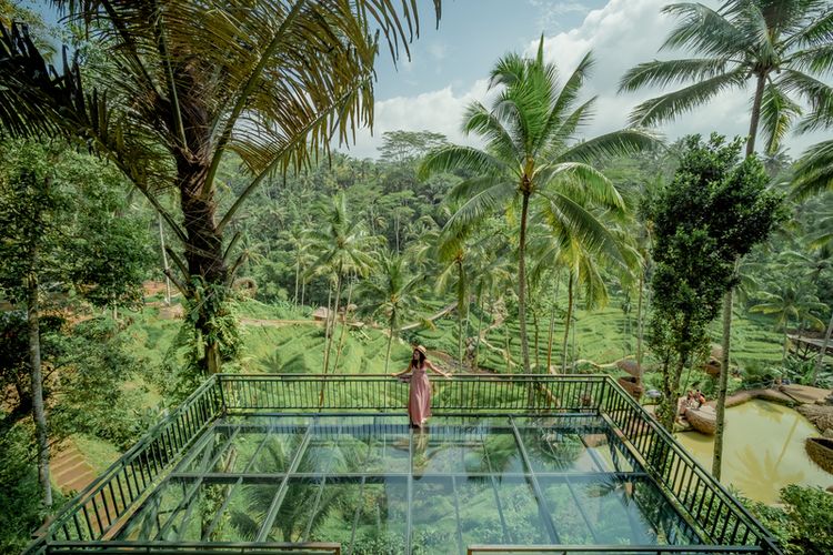 Cozzy.id - Hotel Murah - Hotel Terdekat - Penginapan Murah - Penginapan Terdekat - Booking Hotel - Alas Harum Bali - Petualangan Seru di Tengah Sawah Terasering - Sumber Gambar (TravelKompas)