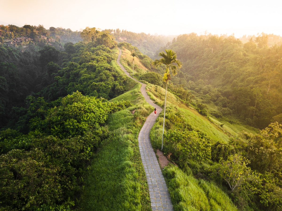 Cozzy.id - Hotel Murah - Hotel Terdekat - Penginapan Murah - Penginapan Terdekat - Booking Hotel - Campuhan Ridge Walk Bali - Jalur Pendakian Instagramable di Ubud - Sumber Gambar (omnigavant)