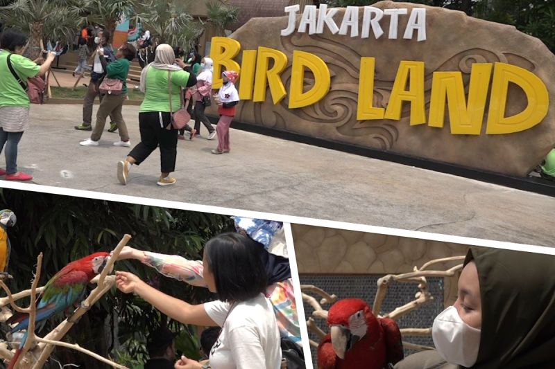 Cozzy.id - Hotel Murah - Hotel Terdekat - Penginapan Murah - Penginapan Terdekat - Booking Hotel - Jakarta Bird Land - Surga Bagi Pecinta Burung di Ancol - Sumber Gambar (AntaraNewsJambi)