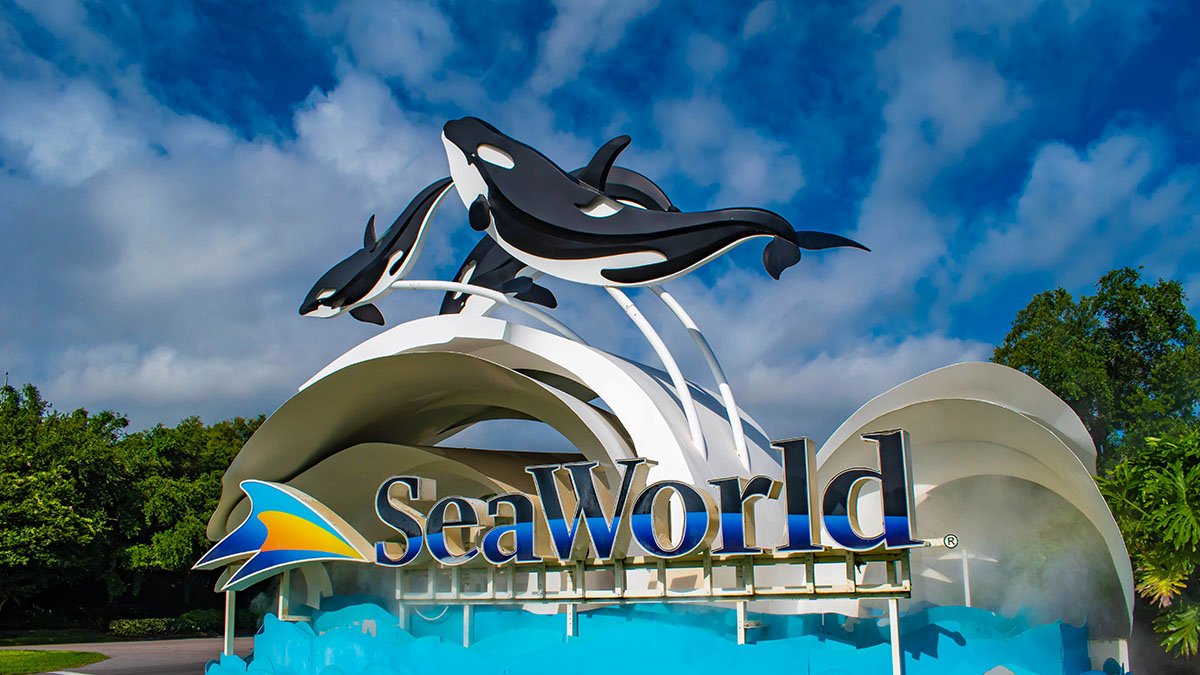 Cozzy.id - Hotel Murah - Hotel Terdekat - Penginapan Murah - Penginapan Terdekat - Booking Hotel - Sea World Ancol Jakarta - Petualangan Bawah Laut yang Menakjubkan - Sumber Gambar (Kcik)