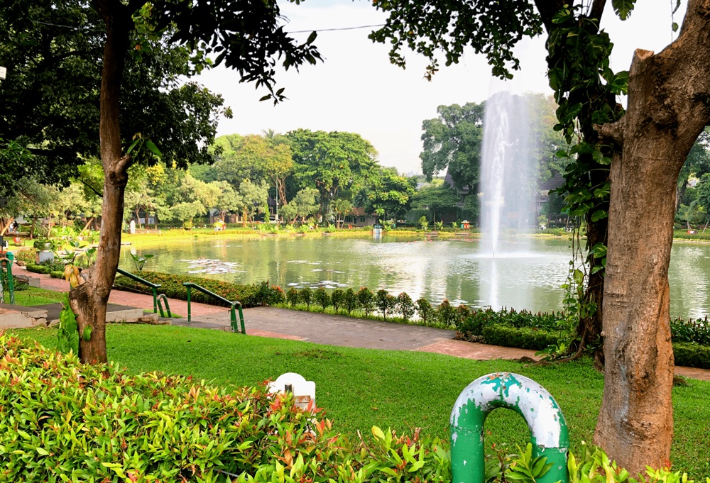 Cozzy.id - Hotel Murah - Hotel Terdekat - Penginapan Murah - Penginapan Terdekat - Booking Hotel - Taman Situ Lembang Jakarta - Oase di Tengah Kota dengan Pilihan Hotel Murah Terdekat - Sumber Gambar (dprddkijakarta)