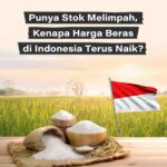 Eksplor Keajaiban Jakarta Aquarium & Safari: Destinasi Wisata Edukasi dan Hiburan Terbaik di Jakarta – Mensdaily.id