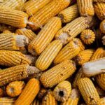 Harga Emas Antam Logam Mulia Hari Ini 21 Juli 2025 Tetap Rp1.927.000 per Gram