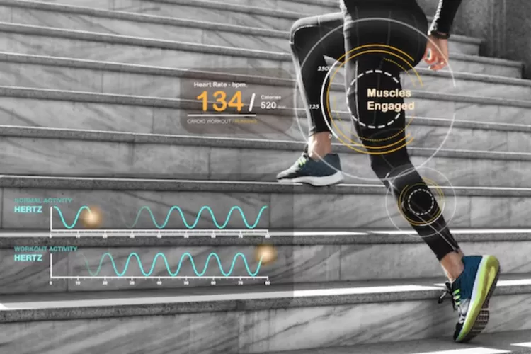 Ilustrasi: Statistik perangkat wearable biometrik dalam merekam indikator fisiologis. (Dok. Freepik / JadiProfesional.Com)
