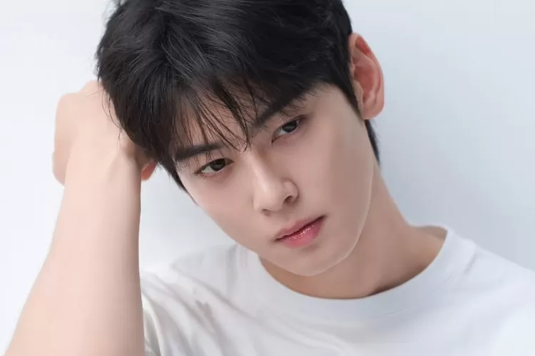Seorang warga non seleb kebanjiran telepon usai agensi Cha Eun Woo tak sengaja salah cantumkan nomor telepon (Instagram @fantagio_official)